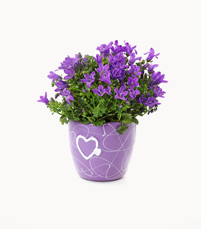 Crime of the Jilted Juror